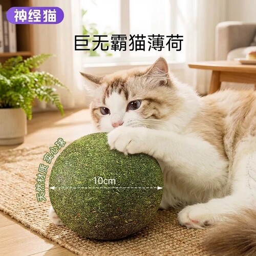 巨量猫薄荷猫咪抱啃上头