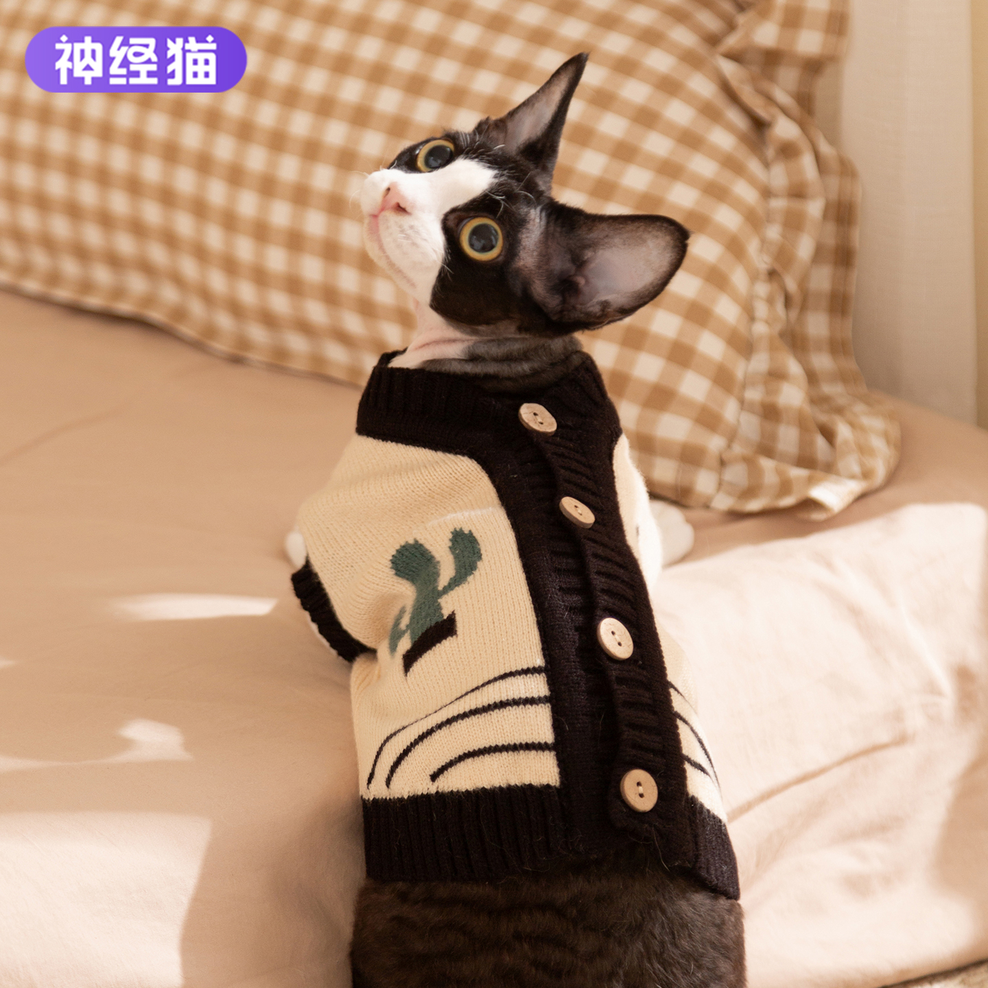 猫咪仙人掌小怪兽无袖毛衣