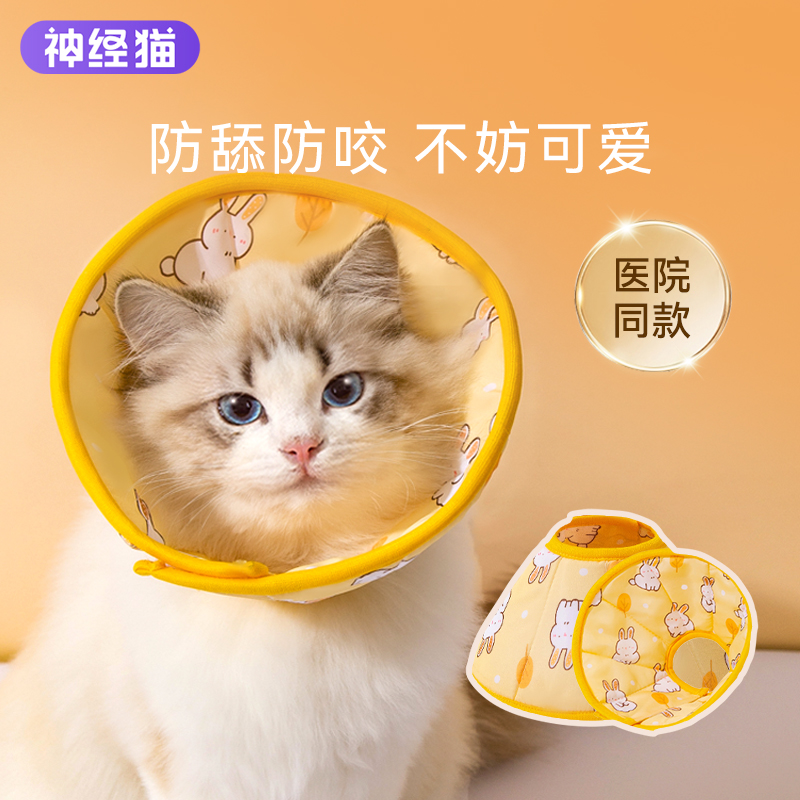 伊丽莎白圈猫咪绝育项圈