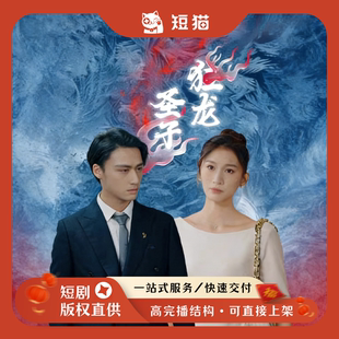 【二轮】《圣子狂龙》95集2024发行非独家短剧二轮剧渠道