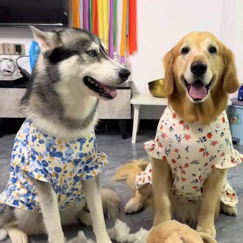 大型犬衣服春秋德绒防掉毛哈士奇阿拉斯加100斤拉布拉多狗狗裙子图片
