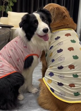 大狗衣服夏季薄款透气金毛幼犬哈士奇边牧拉布拉多大型犬网眼背心