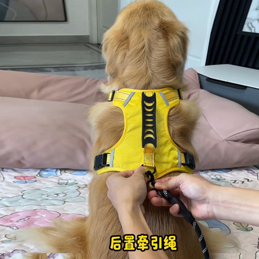 金毛牵引绳背心式大型犬防爆冲可调节哈士奇边牧大狗胸背带可手提