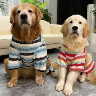 小中大型犬大狗狗衣服冬季保暖金毛拉布拉多柴犬宠物条纹四脚绒衣