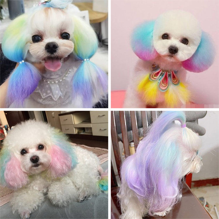 狗狗染发剂发宠物专用的染毛膏泰迪白色比熊博美染色剂漂白毛白剂