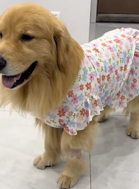 狗狗衣服中大型犬夏季薄款凉感金毛拉布拉多柯基萨摩耶公主风裙子