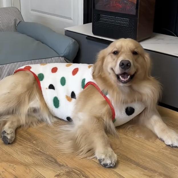 宠物衣服中大型犬金毛边牧萨摩哈士奇拉布拉多狗狗秋冬保暖背心