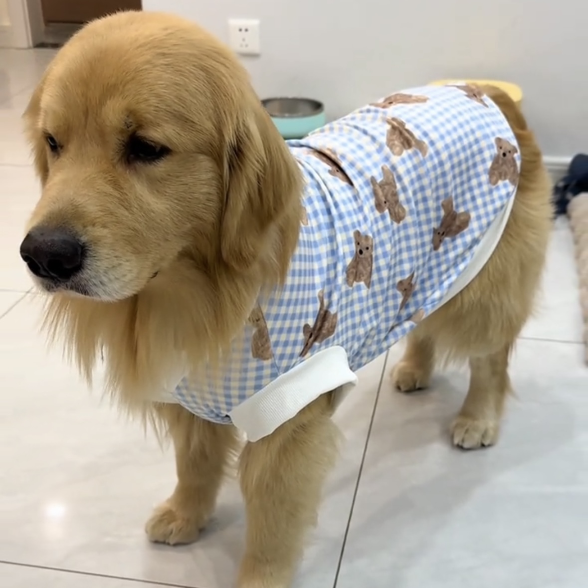 金毛衣服春秋德绒大型犬大狗防掉毛德牧萨摩耶阿拉斯加宠物背心