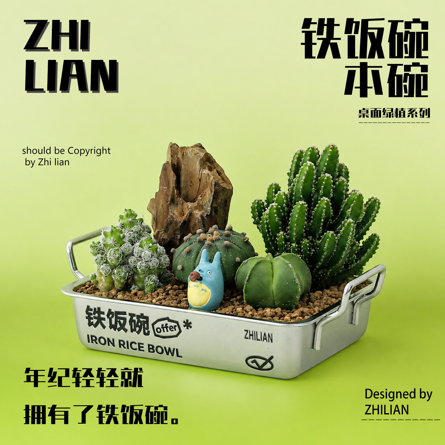 铁饭碗仙人掌多肉植物创意盆栽生日毕业礼物办公室仙人球绿植礼品