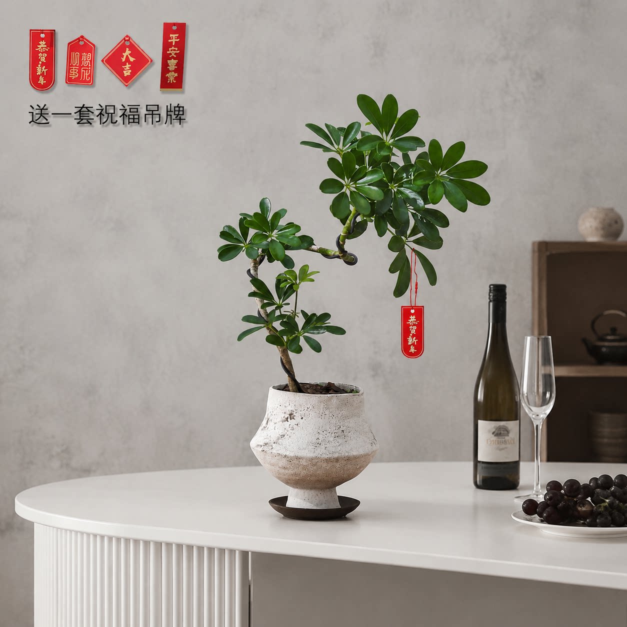 造型鸭脚木客厅大盆栽鸭掌木八方来财室内玄关真树盆景好养绿植物图片