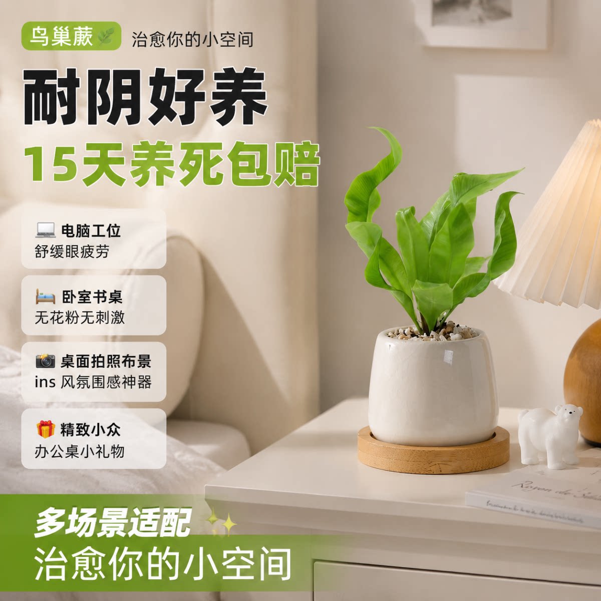 室内造景！解锁原生雨林秘境图片