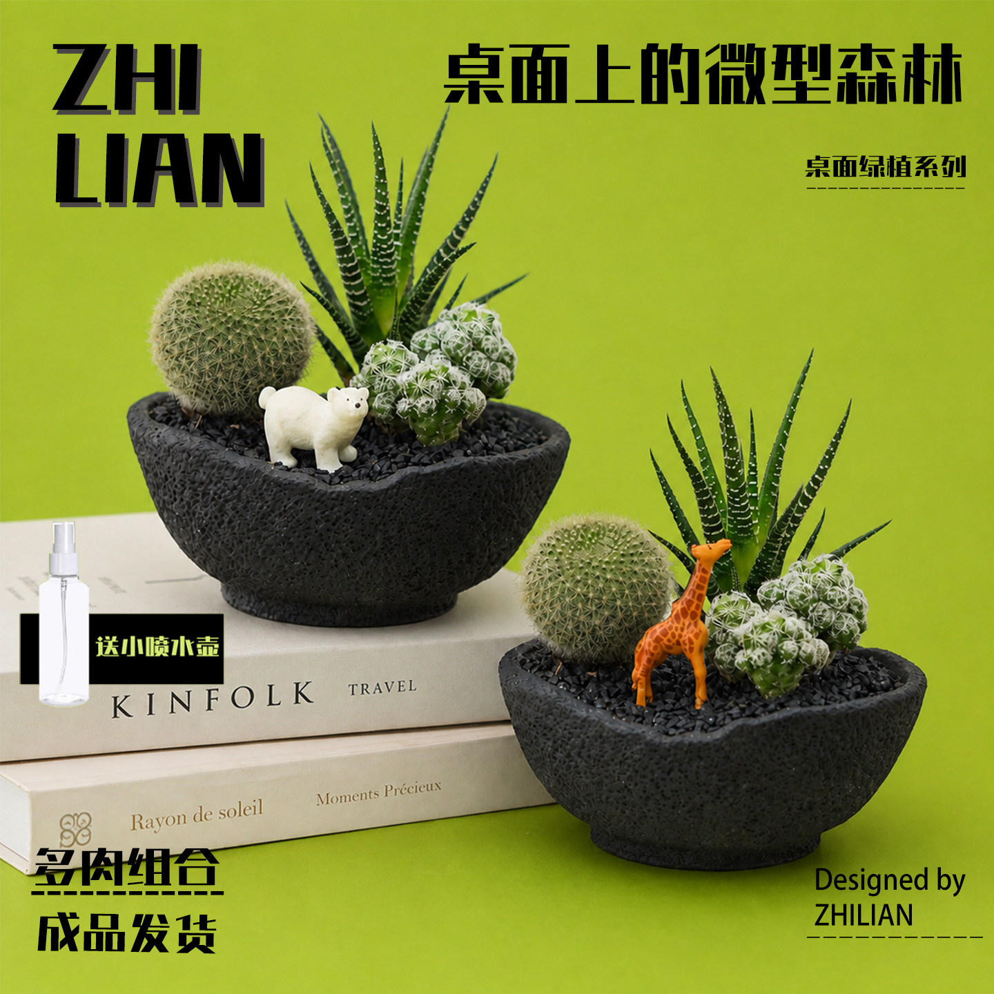 仙人掌盆栽组合多肉植物小仙人球办公室工位桌面绿植创意生日礼物