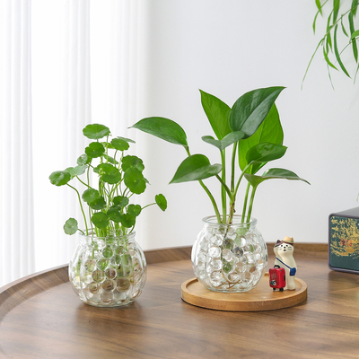 水培器皿创意玻璃花盆