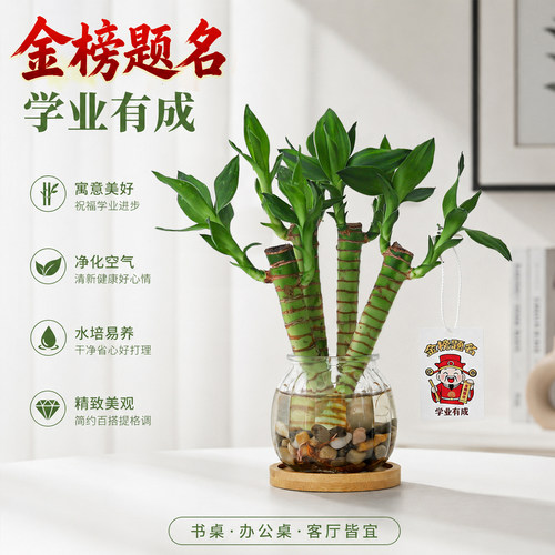 精品文昌竹逢考必过步步高升