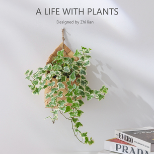 雪莹常春藤盆栽好养绿植室内客厅办公桌面编织篮挂件垂吊植物盆景