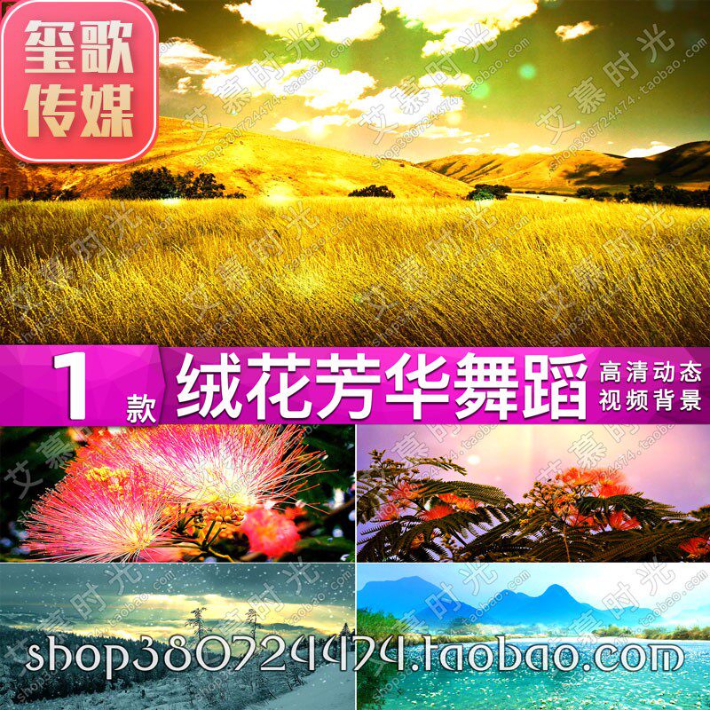 绒花舞蹈mv爱国红歌芳华祖国河山晚会舞台led 大屏幕视频背景素材