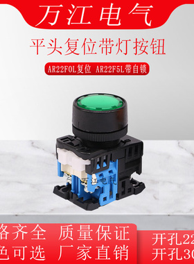 平头带灯按钮开关AR22FOL-11E3G AR22F5L-11M3R 10Y E4自锁复位WS