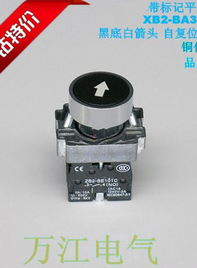 黑底白箭头 符号开关XB2-BA3351C 带标记 平头按钮 XB2-BA3341C