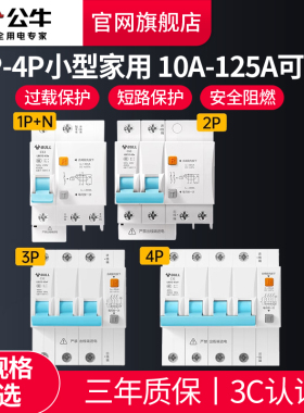 公牛空开漏电保护器63a家用220v断路器带漏保2p3p4p电闸总开关
