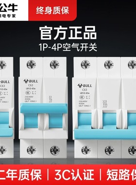 公牛家用控制电源断电总开关2p空开关断路器100a空气开关总闸1p3p