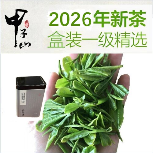 甲子山日照绿茶鲜爽回甘耐泡办公