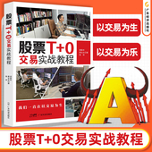 0交易实战教程 罕见 日内交易 盈利做T 股票书籍 交易技巧大全 股票T 大揭秘 职业日内交易技法