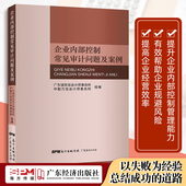 企业内部控制常见审计问题及案例 广东诚安信会计师事务所中勤万信会计师事务所262个典型常见案例