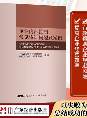 企业内部控制常见审计问题及案例  广东诚安信会计师事务所中勤万信会计师事务所262个典型常见案例