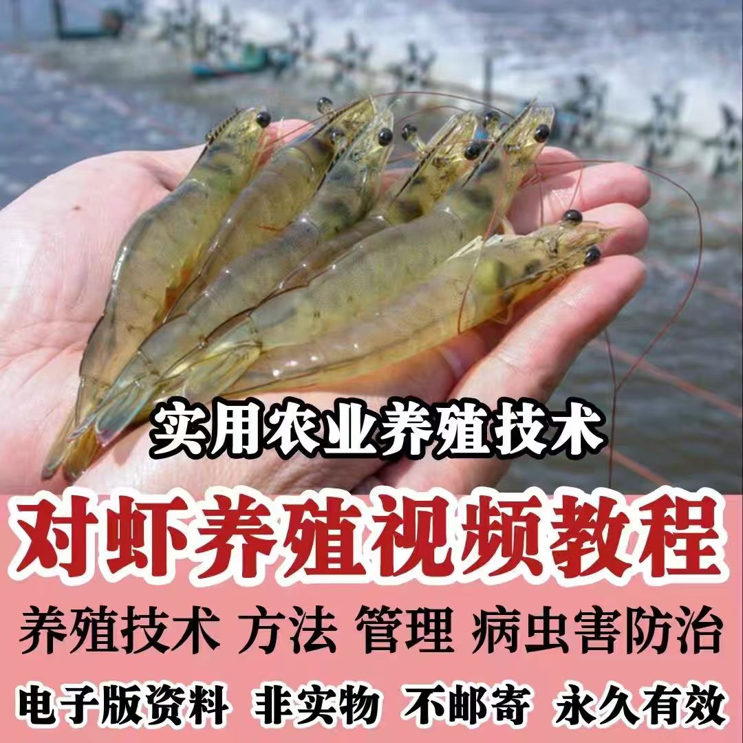 技术疾病白对虾对虾养护养殖素材日常水质视频教程南美管理