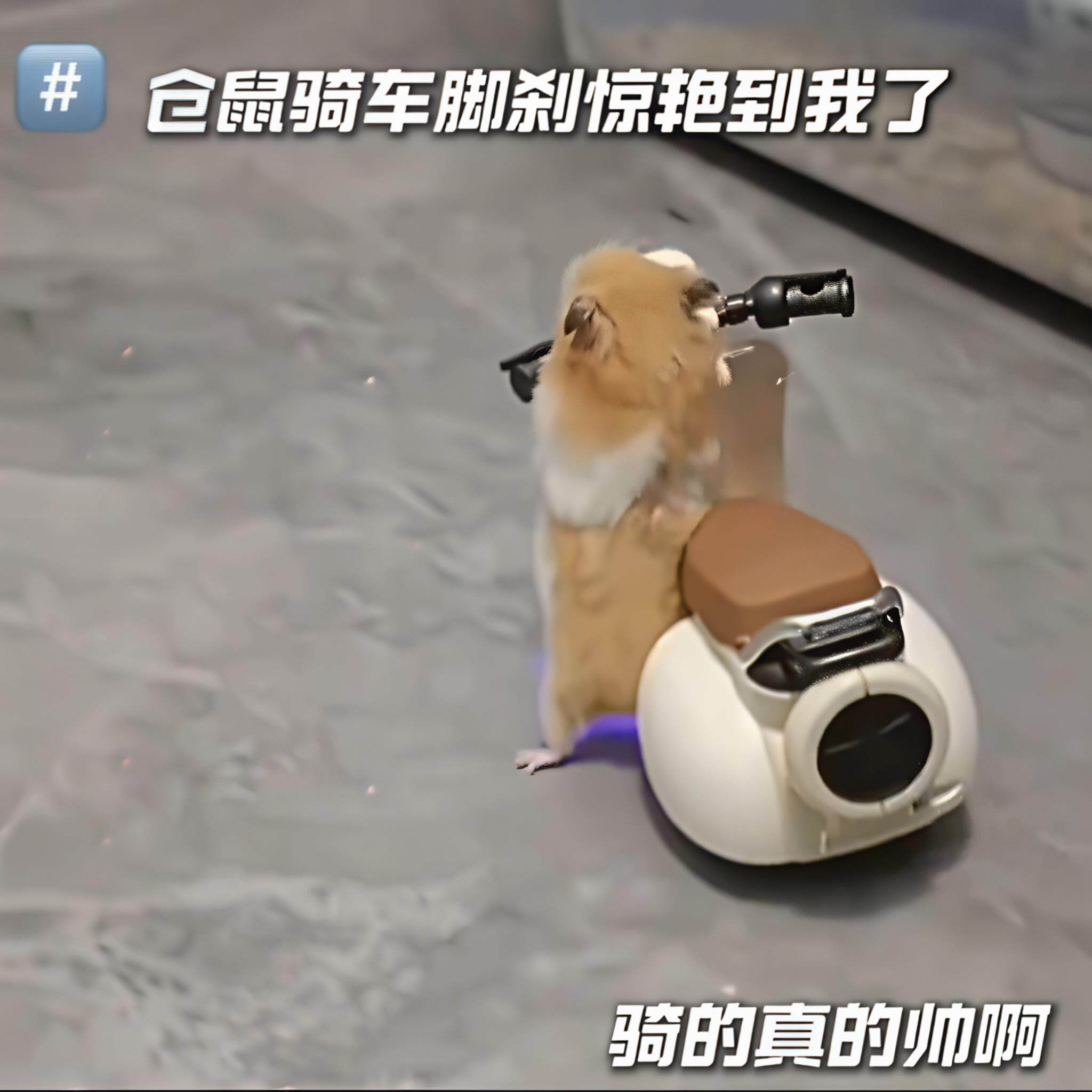 仓鼠迷你小机车解闷玩具金丝熊旋转炫技电动三轮车宠物自嗨神器