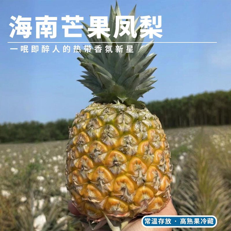 海南芒果凤梨自然熟酸甜适口