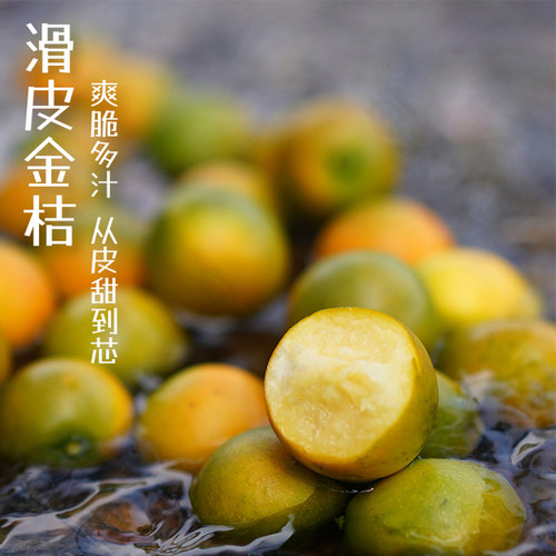 每天水果优选 融安滑皮金桔当季新鲜采摘 纯甜不麻嘴 产地直发