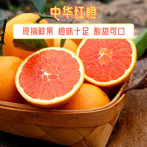 湖北秭归中华红橙当季新鲜