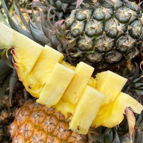 海南自然熟金钻凤梨当季新鲜