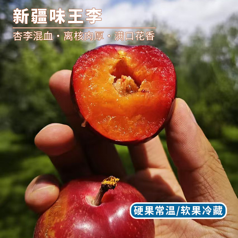 每天水果优选 新疆味王李 杏李果肉多汁风味独特当季新鲜整箱空运
