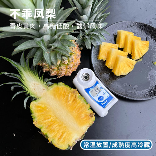 徐闻不乖青龙凤梨新品种当季新鲜