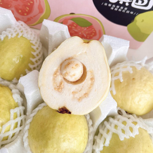 每天水果优选广西奶油芭乐白心软糯清甜微酸奶油番石榴整箱顺丰