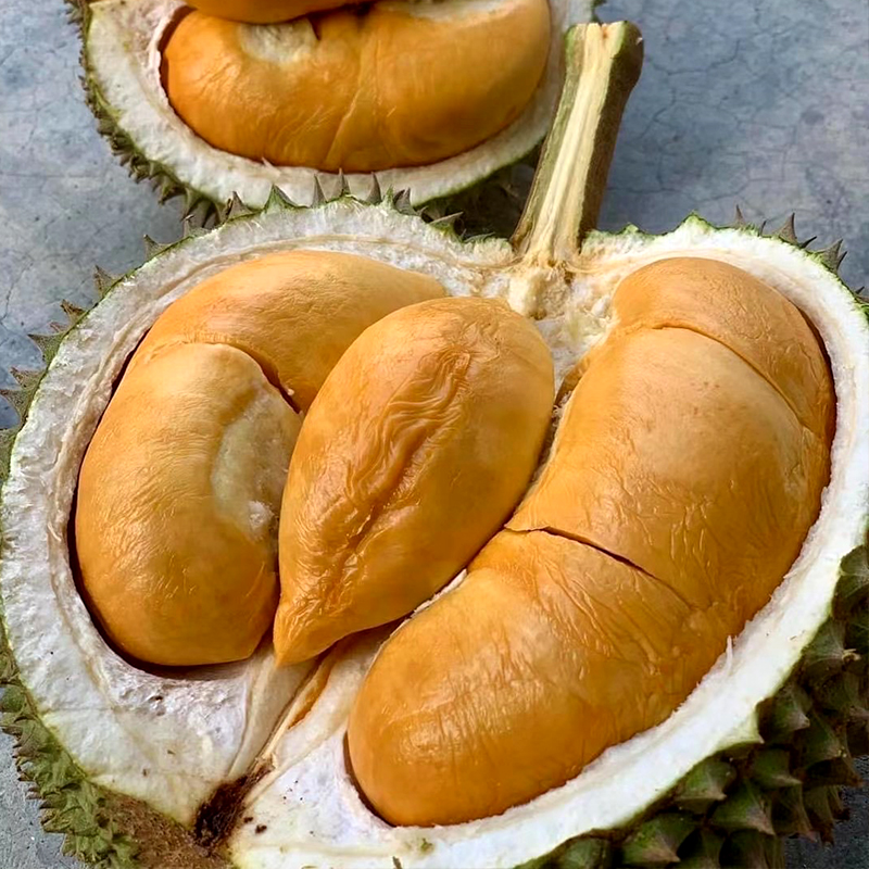 马来西亚黑刺榴莲液氮冷冻