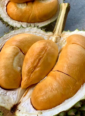 马来西亚D200黑刺榴莲液氮冷冻保鲜顺丰包邮