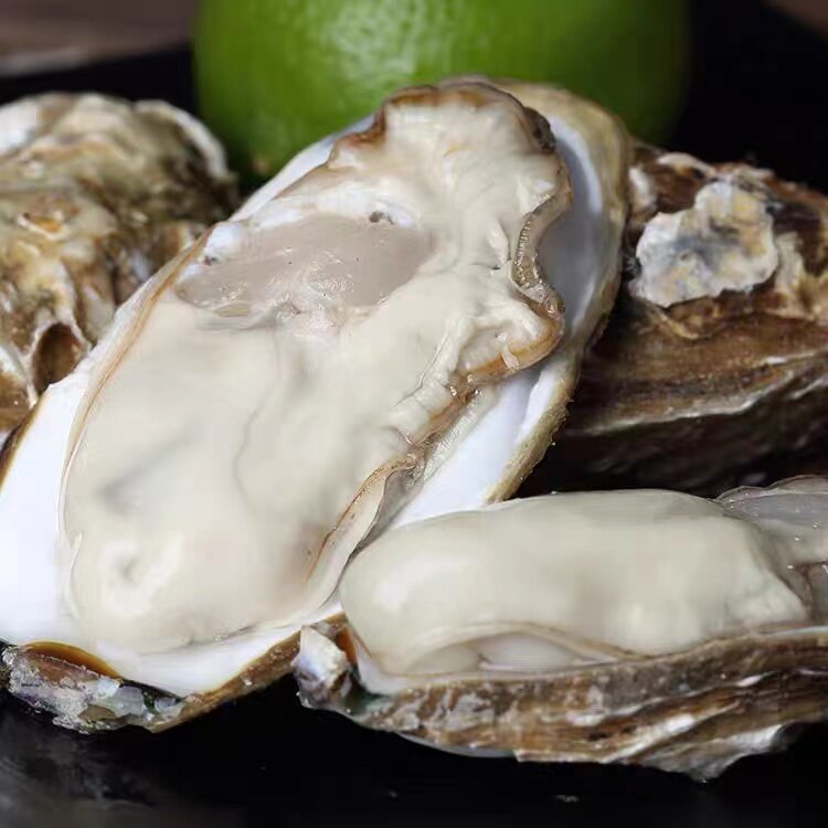 10只装 鲜活乳山生蚝牡蛎海蛎子 山东威海特产海鲜水产北京闪送