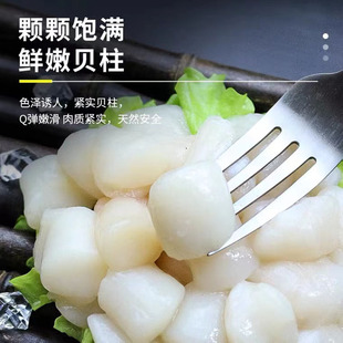野生活剥鲜冻扇贝肉新鲜贝丁瑶柱 贝干 贝柱海鲜水产宝宝辅食500g