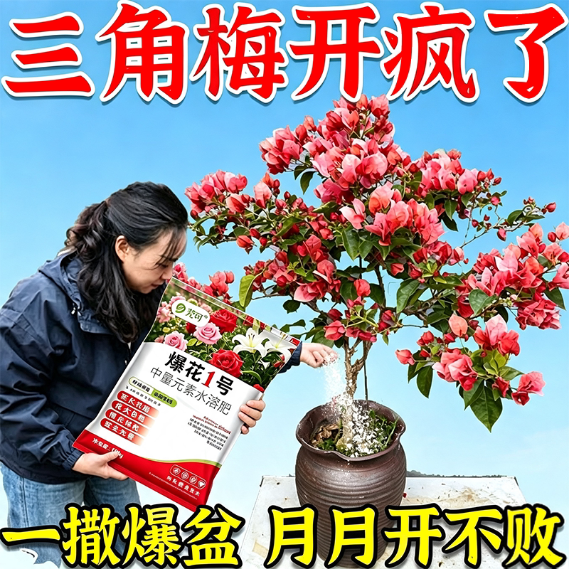 三角梅爆花肥料开花专用营养肥促开花爆花开花专用肥花卉专用