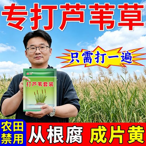 芦苇除草烂根剂专用药一扫光正品
