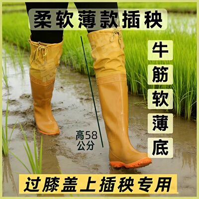 高筒插秧靴男女过膝软平底雨鞋稻田下水涉水靴软水鞋农田靴水田鞋