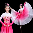 新款 大气歌伴舞蹈服民族表演服学生 儿童开场舞大摆裙六一演出服装