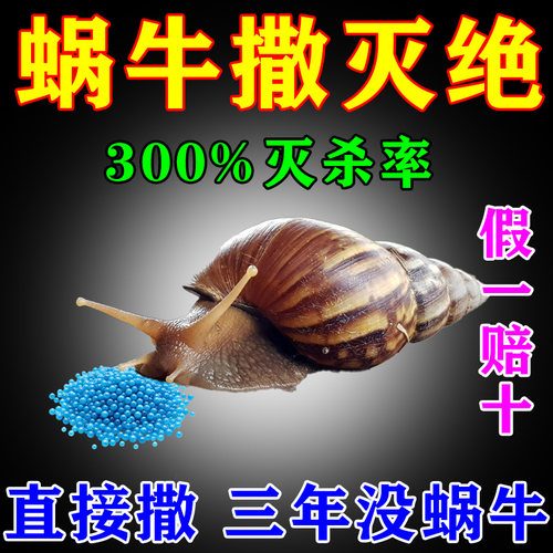 蜗牛药菜地杀专用四聚乙醛