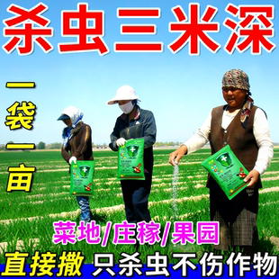 土壤杀虫剂地下害虫杀虫防虫颗粒地老虎蛴螬金针虫小菜蛾跳甲通杀