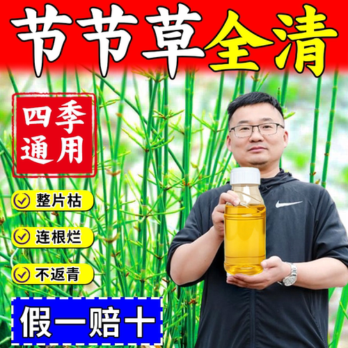 专打节节草根部烂透不返青