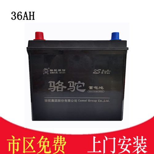 骆驼电瓶36AH38B19L飞度锋范奥拓雨燕比亚迪E6元EV360汽车蓄电池