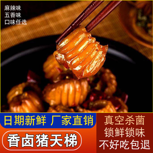新鲜五香猪天梯麻辣猪天梯熟食卤味即食商用冷吃下酒菜山东特产